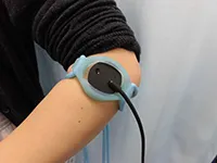 主な性能